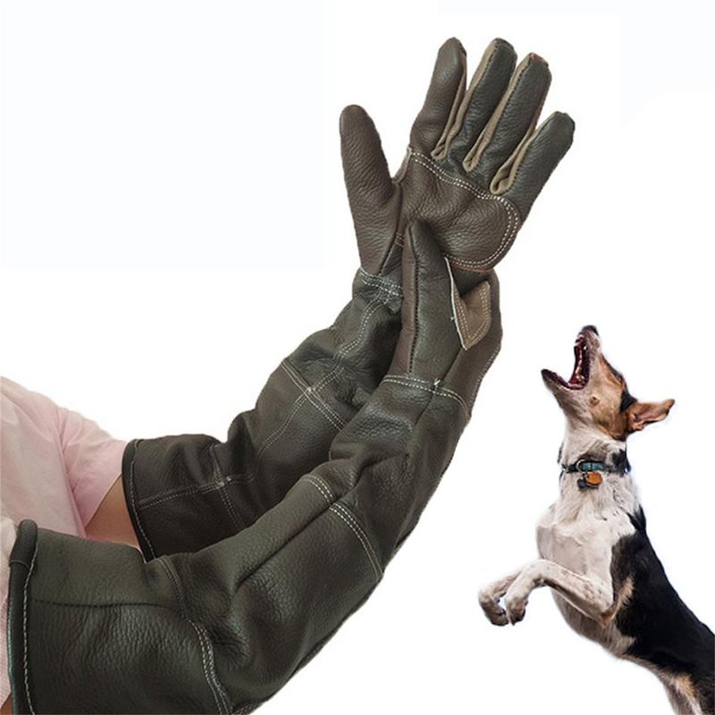 Pet Gloves Cowhide Leather Ant - огляд і ціна Leatherwork Training