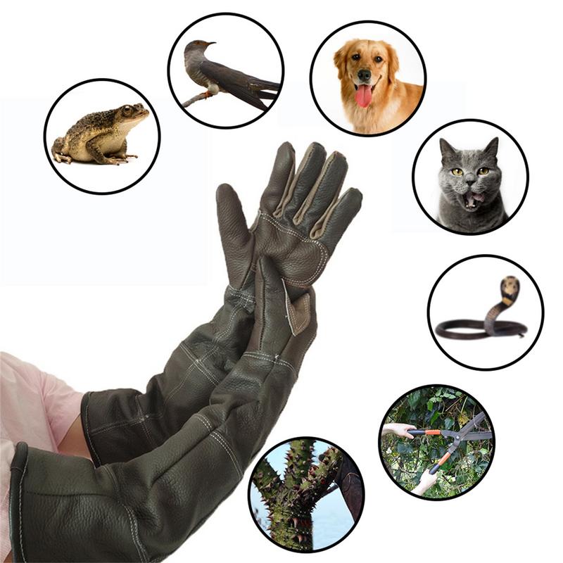 Pet Gloves Cowhide Leather Ant - огляд і ціна Leatherwork Training